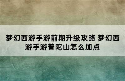 梦幻西游手游前期升级攻略 梦幻西游手游普陀山怎么加点